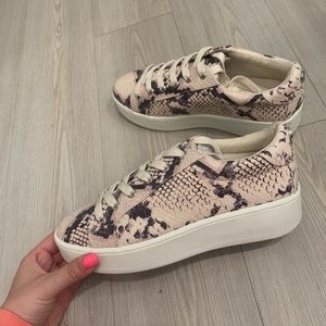 Steve Madden Sneaker !! Never worn !!